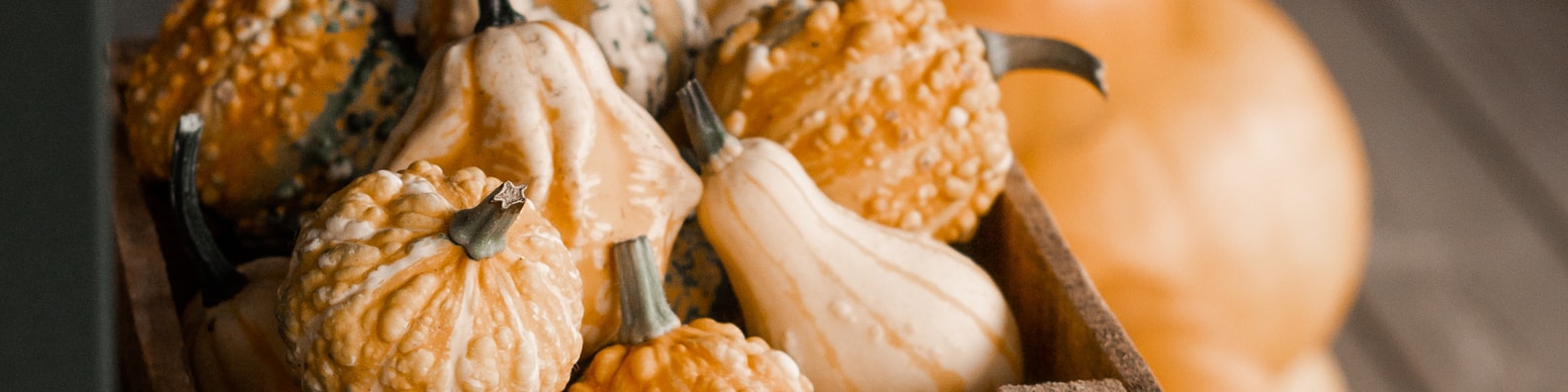Abstract LinkedIn Cover Photo with Gourd_in_the_box