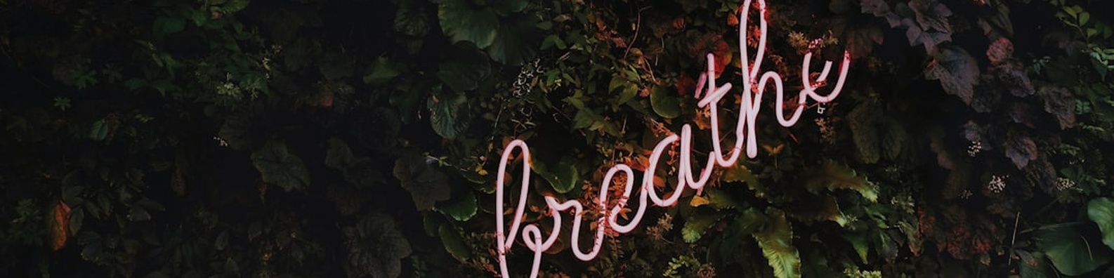 Abstract LinkedIn Cover Photo with Breathe Neon Light Signage