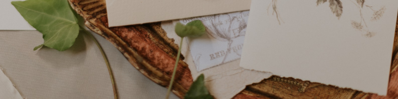 Business LinkedIn Cover Photo with Handwritten Letters Are The Best