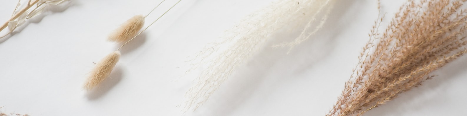 Business LinkedIn Cover Photo with Whole Grains