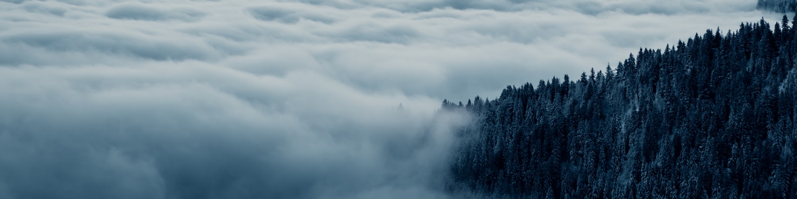 Nature LinkedIn Cover Photo with A Sea Of Clouds Is Coming