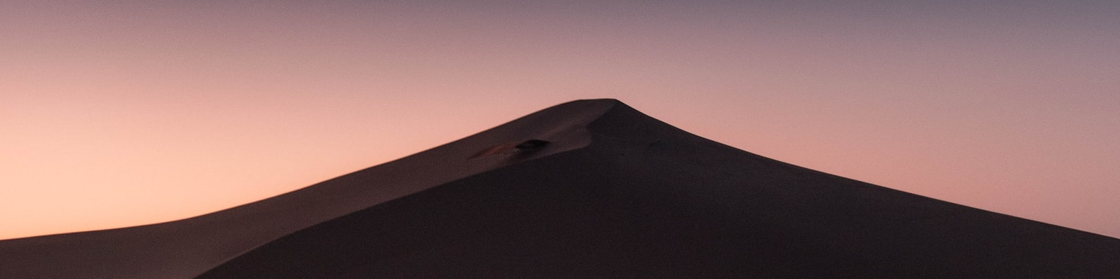 Nature LinkedIn Cover Photo with Arabian Desert Nights
