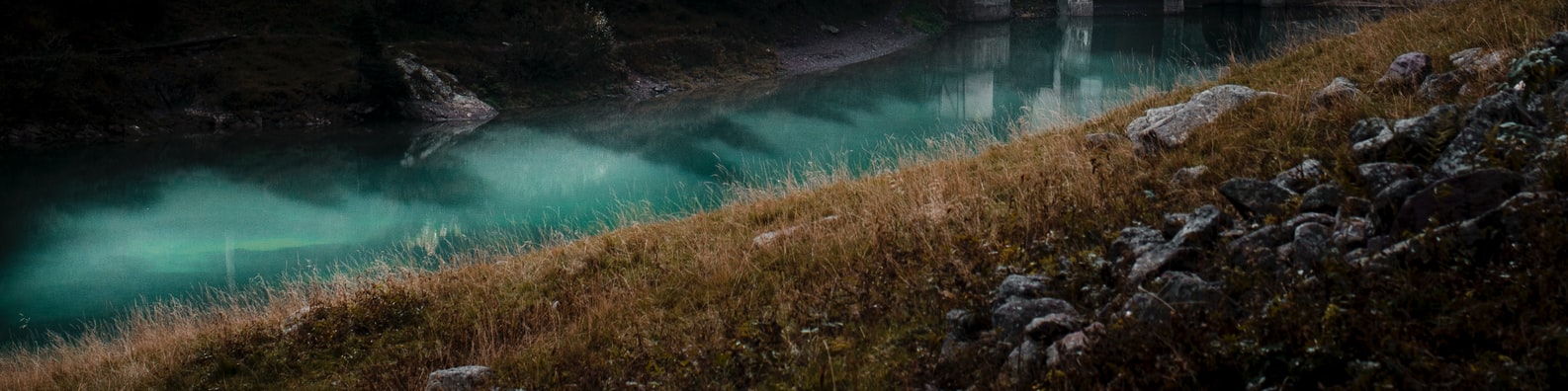 Nature LinkedIn Cover Photo with Beautiful Spring During Night Time