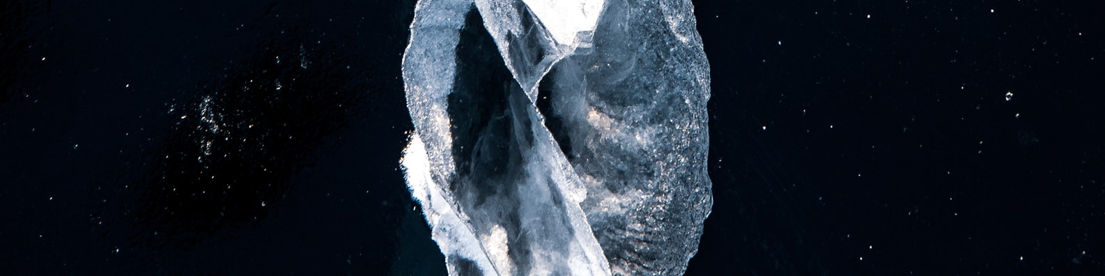 Nature LinkedIn Cover Photo with Close Up Photography Of Crystal
