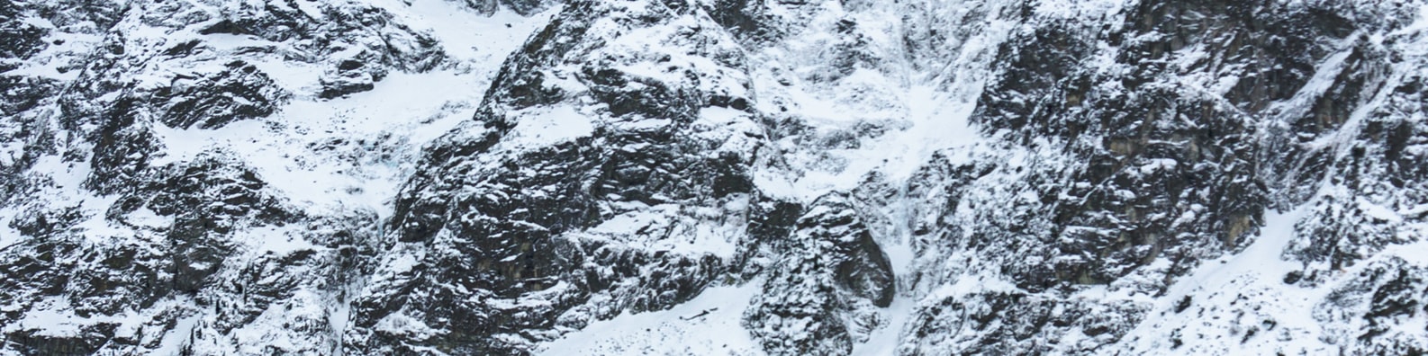 Nature LinkedIn Cover Photo with Extremely Covered In Snow