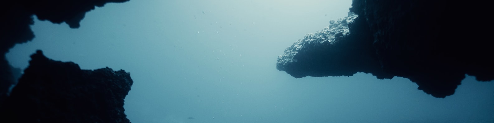 Nature LinkedIn Cover Photo with Finding Peace Under The Sea