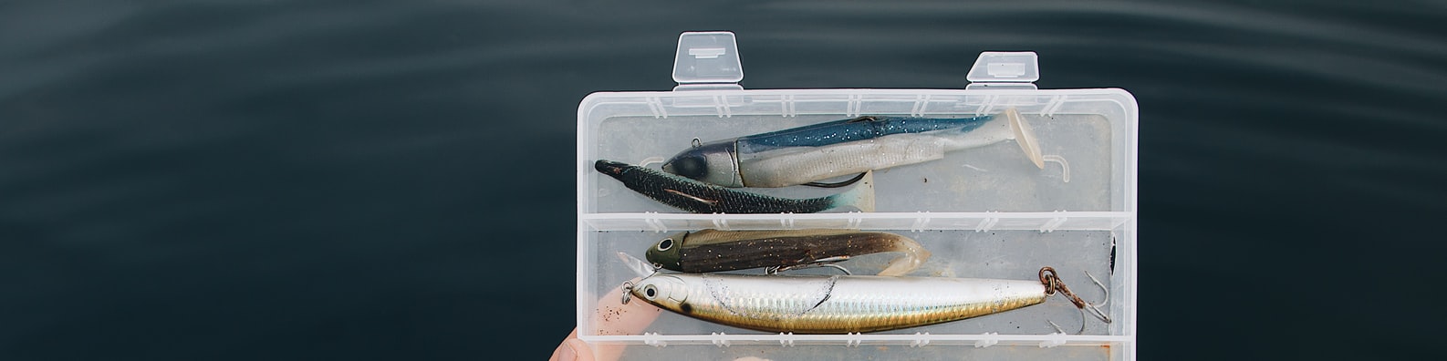 Nature LinkedIn Cover Photo with Fishing_bait