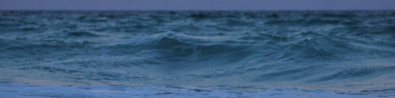 Nature LinkedIn Cover Photo with Gotta Go Surf