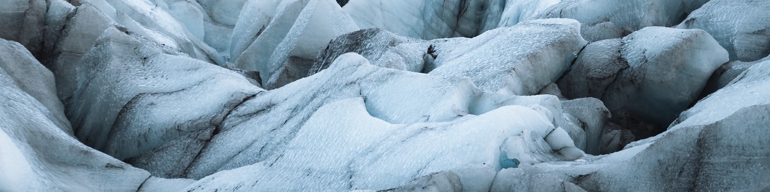 Nature LinkedIn Cover Photo with I Want To Lick The Ice