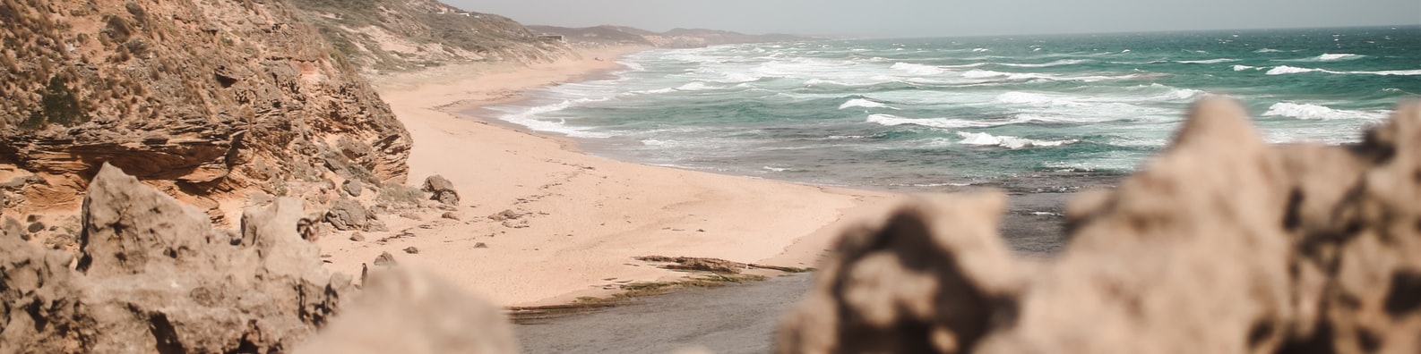 Nature LinkedIn Cover Photo with Is It Too Hot To Go Swimming At The Beach