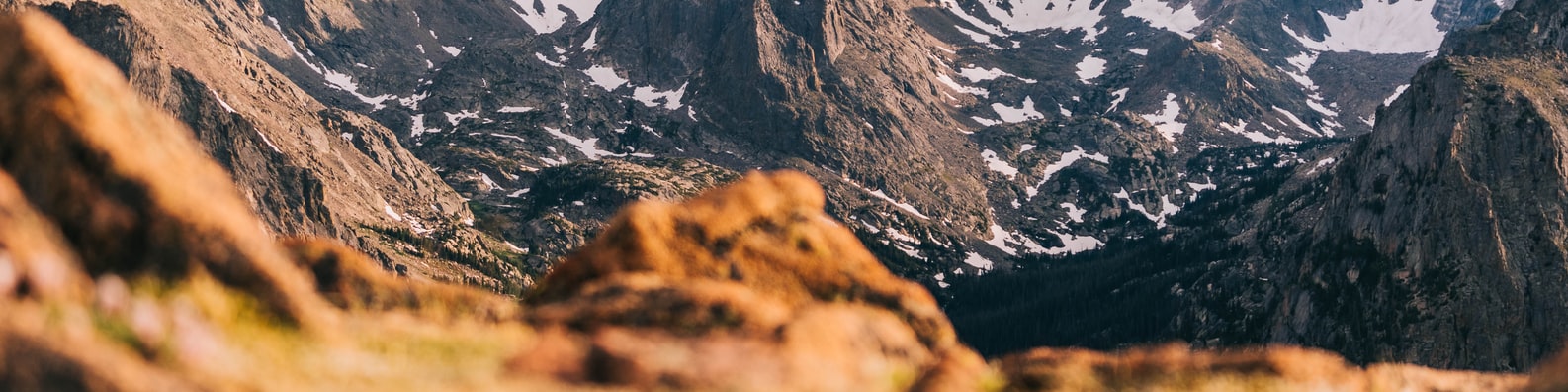 Nature LinkedIn Cover Photo with Let Me Show You My World