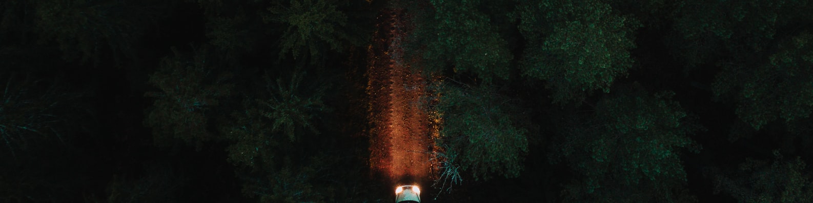 Nature LinkedIn Cover Photo with Night Driving In The Middle Of The Forest