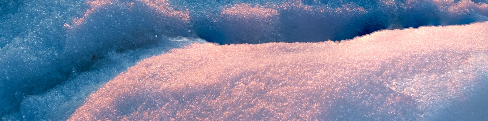 Nature LinkedIn Cover Photo with Reminds You Of Snowcones