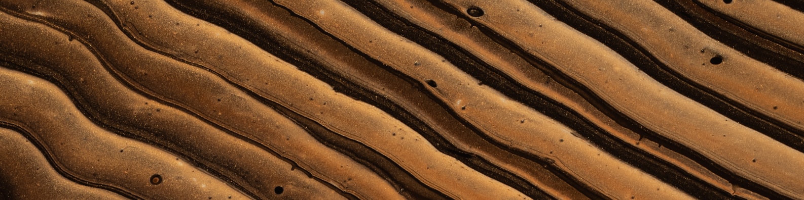 Nature LinkedIn Cover Photo with Sand_pattern