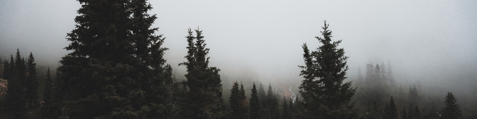 Nature LinkedIn Cover Photo with Someone Is Camping There