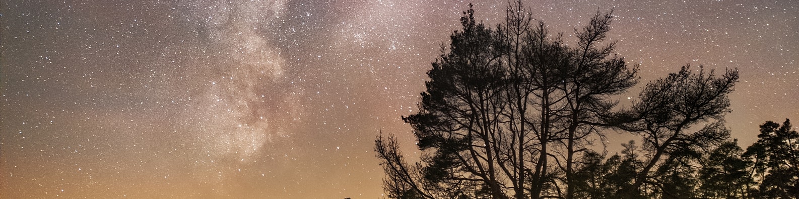 Nature LinkedIn Cover Photo with Stargazing_in_the_forest