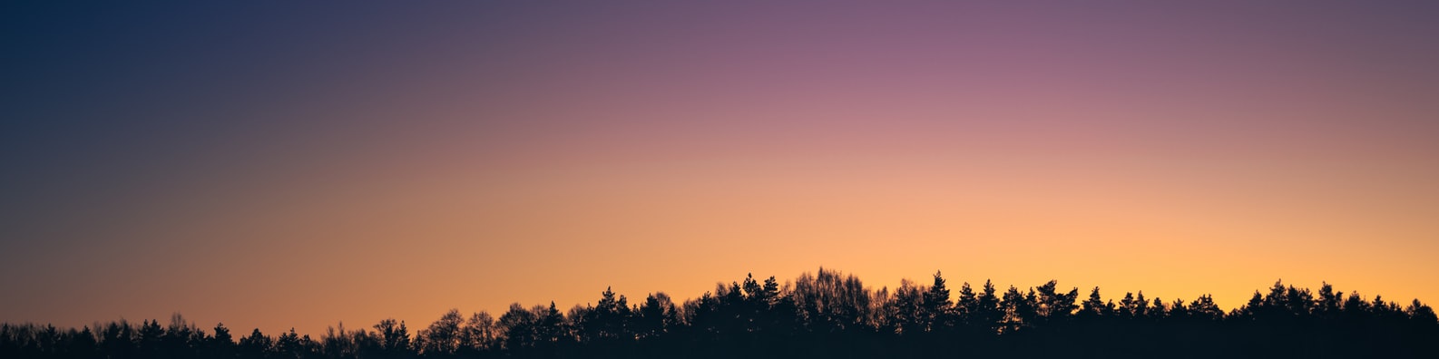 Nature LinkedIn Cover Photo with Sunset With Purple Hues