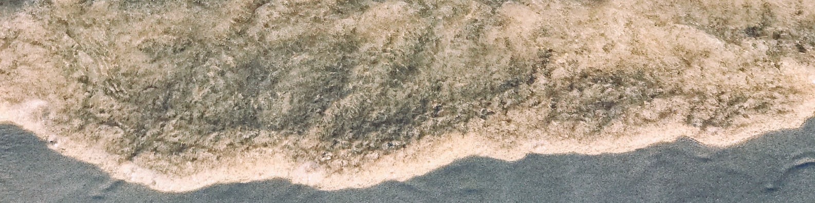 Nature LinkedIn Cover Photo with The Feeling Of Sand In Between Your Toes