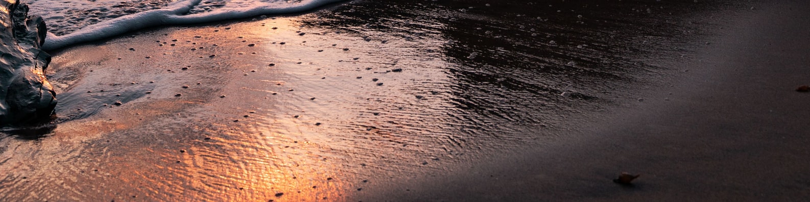 Nature LinkedIn Cover Photo with Washed Away