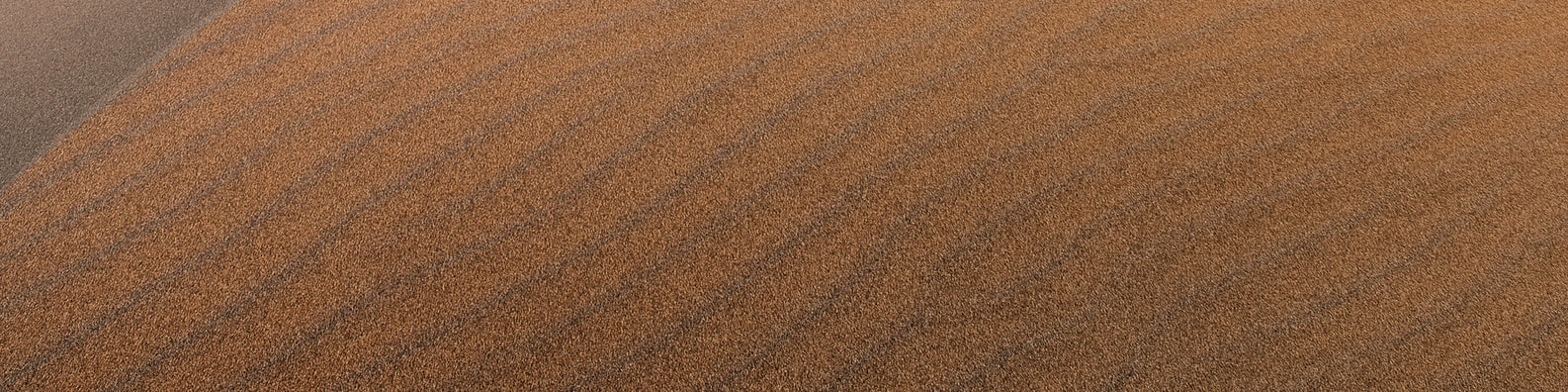 Nature LinkedIn Cover Photo with We Need A Tractor