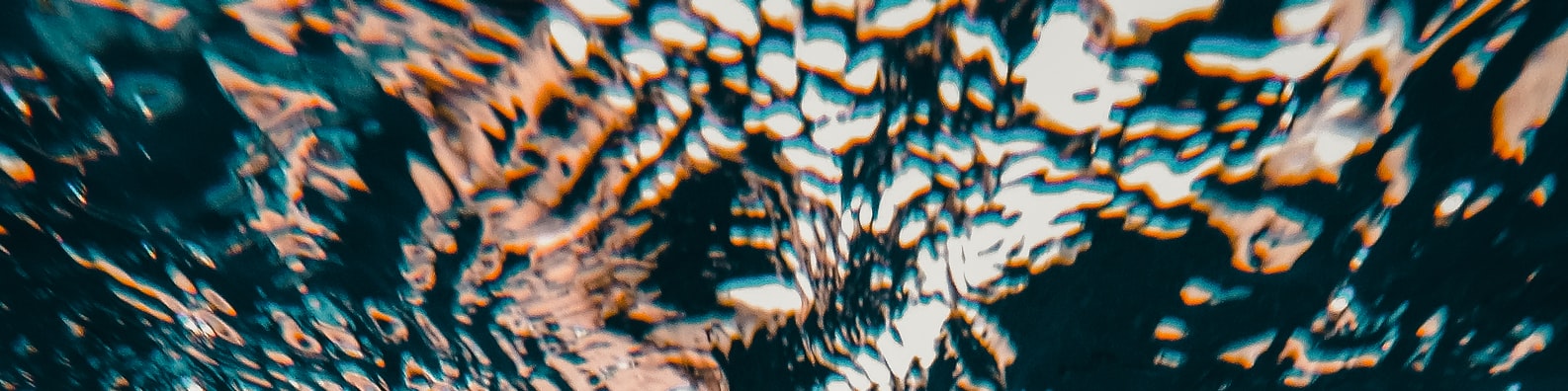 Nature LinkedIn Cover Photo with When You Drop Your Phone Underwater