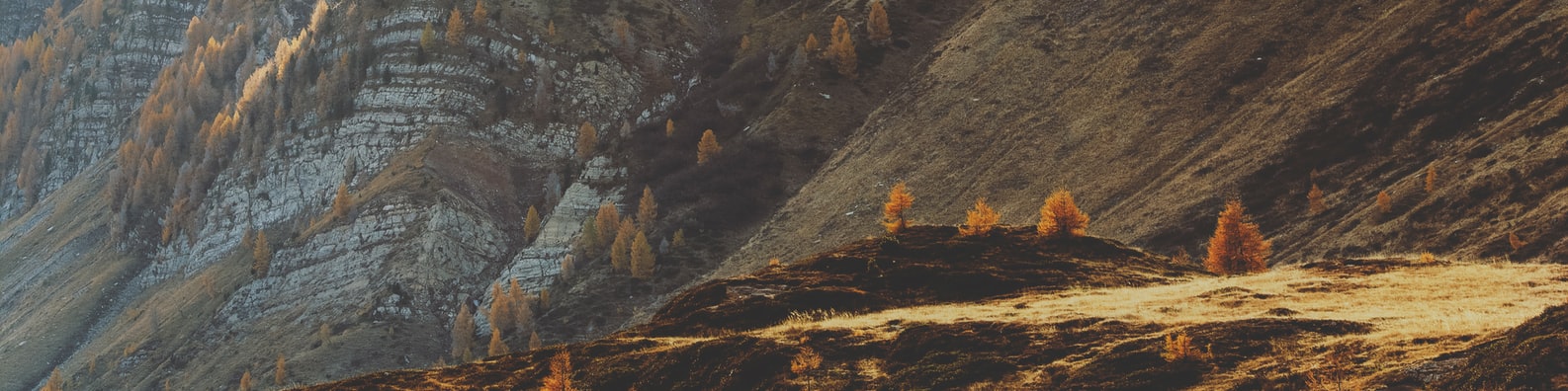 Nature LinkedIn Cover Photo with Worth The Long Trek