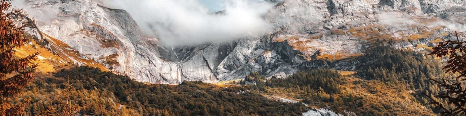 Nature LinkedIn Cover Photo with Mountain Range and Forest Scenery