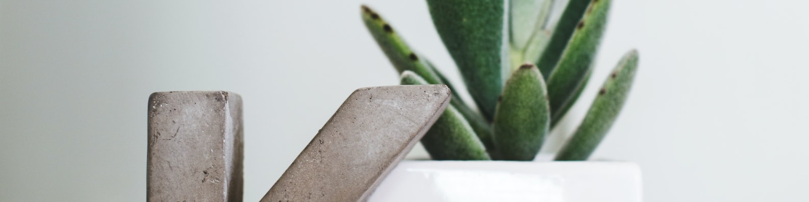 Urban LinkedIn Cover Photo with I Love Indoor Plants