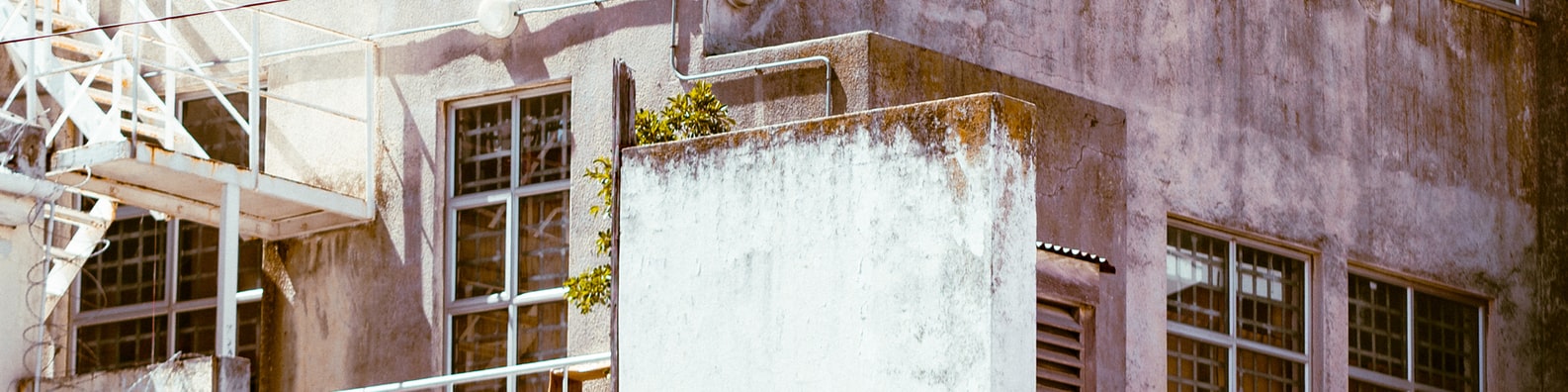 Urban LinkedIn Cover Photo with Nature Finds A Way