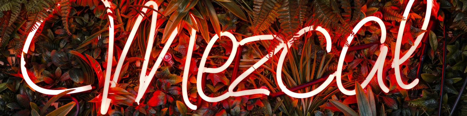 Urban LinkedIn Cover Photo with Neon Sign With Plants In The Background