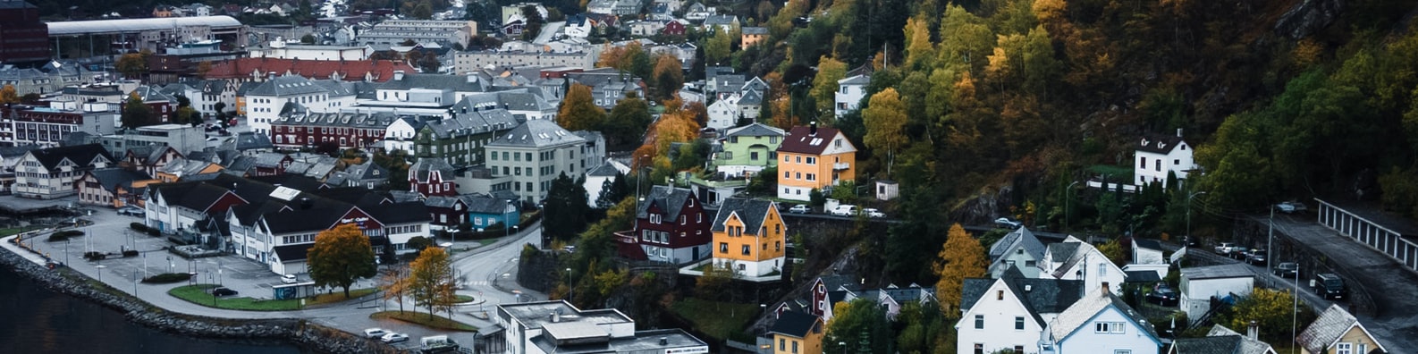 Urban LinkedIn Cover Photo with View Of A Beautiful Houses Near The Forest